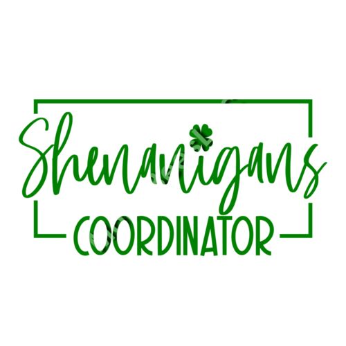 Shenanigans Coordinator Thumbnail