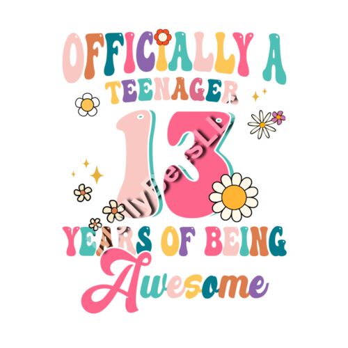 13th Birthday Thumbnail