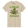 Heavy Cotton 100% Cotton T Shirt Thumbnail