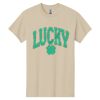 Heavy Cotton 100% Cotton T Shirt Thumbnail